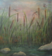 Cattails1