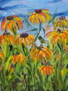 Coneflowers