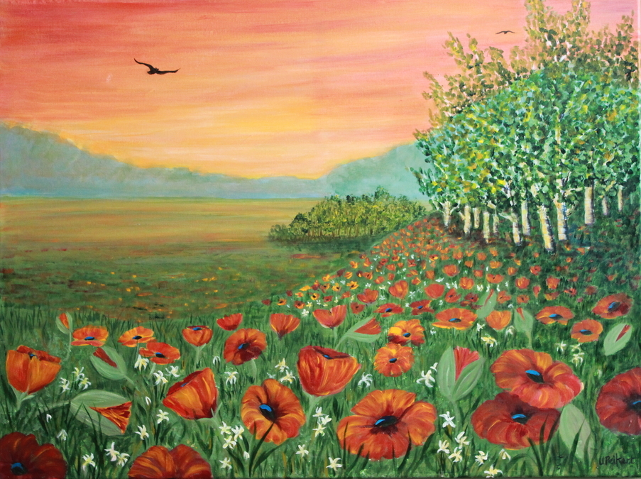 Field of Poppies 2